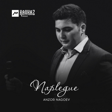 Anzor Nagoev. «Naplegue» 