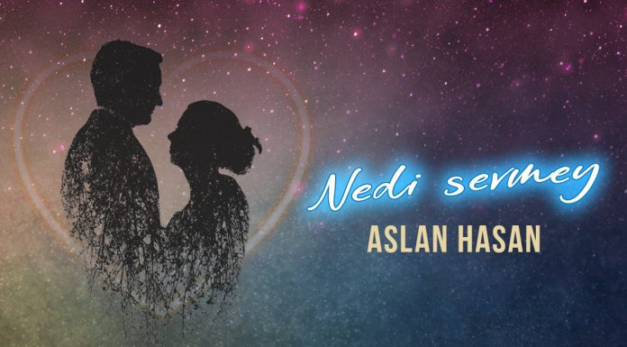 Романтичную песню исполнил Aslan Hasan