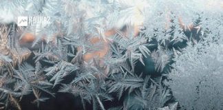Хусейн Израпов. «Билли ахь ша»