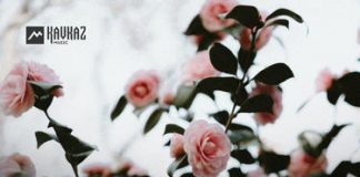 Айна Исаева. «Ма реза ю-кха со»