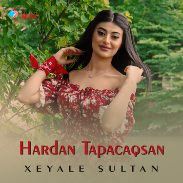 Xeyale Sultan. «Hardan Tapacaqsan»