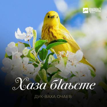 Дук-Ваха Очаев. «Хаза бlаьсте»