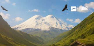 Таулан Батчаев. «Къарачайны къобаны» Таулан Батчаев. «Къарачайны къобаны»